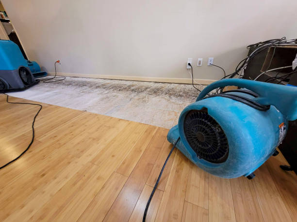 Professional Emergency Water Damage technician working in Centralia, MO